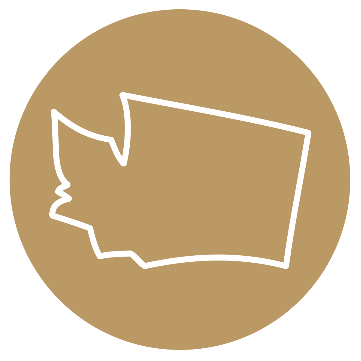 WA icon