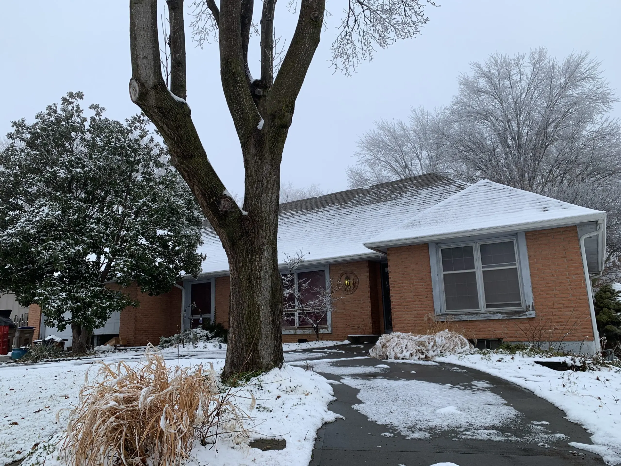 a house with snow on the ground and a tree in front of it