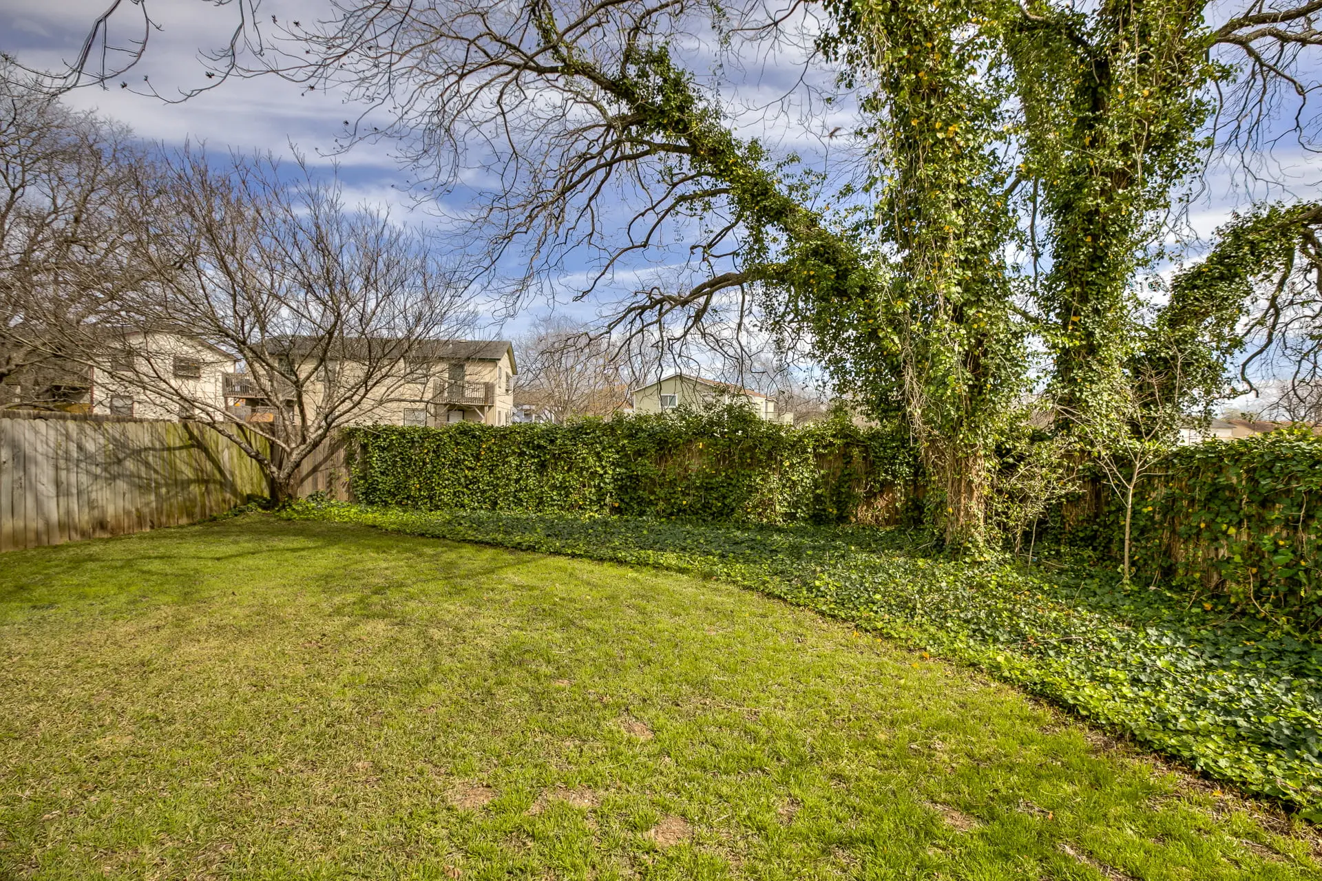 a large yard with a fence and trees
