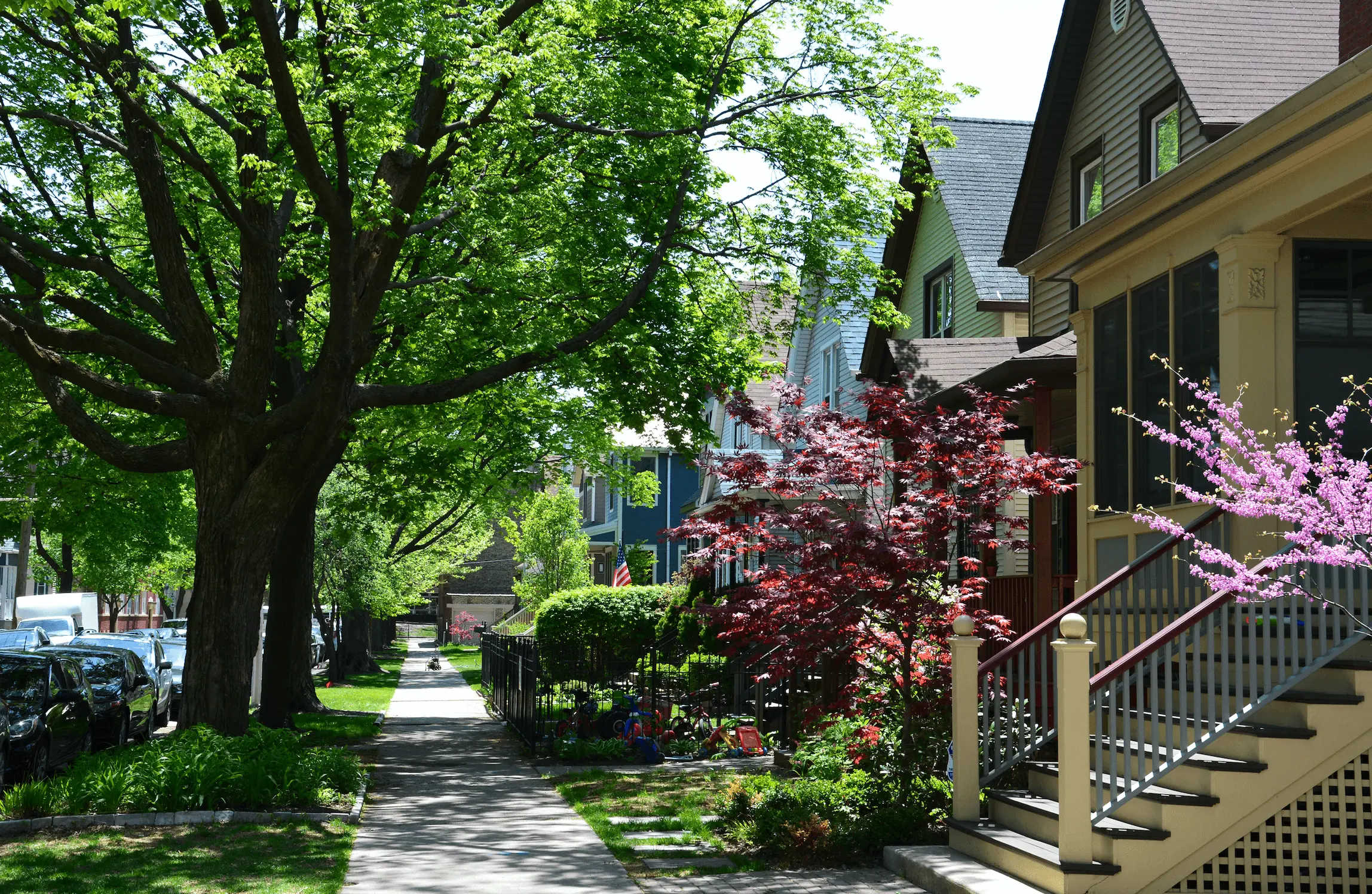 a row of houses on a sunny day with trees and flowers