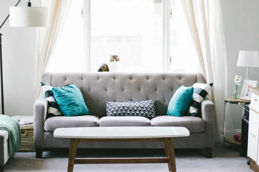 a living room with a grey couch and blue pillows