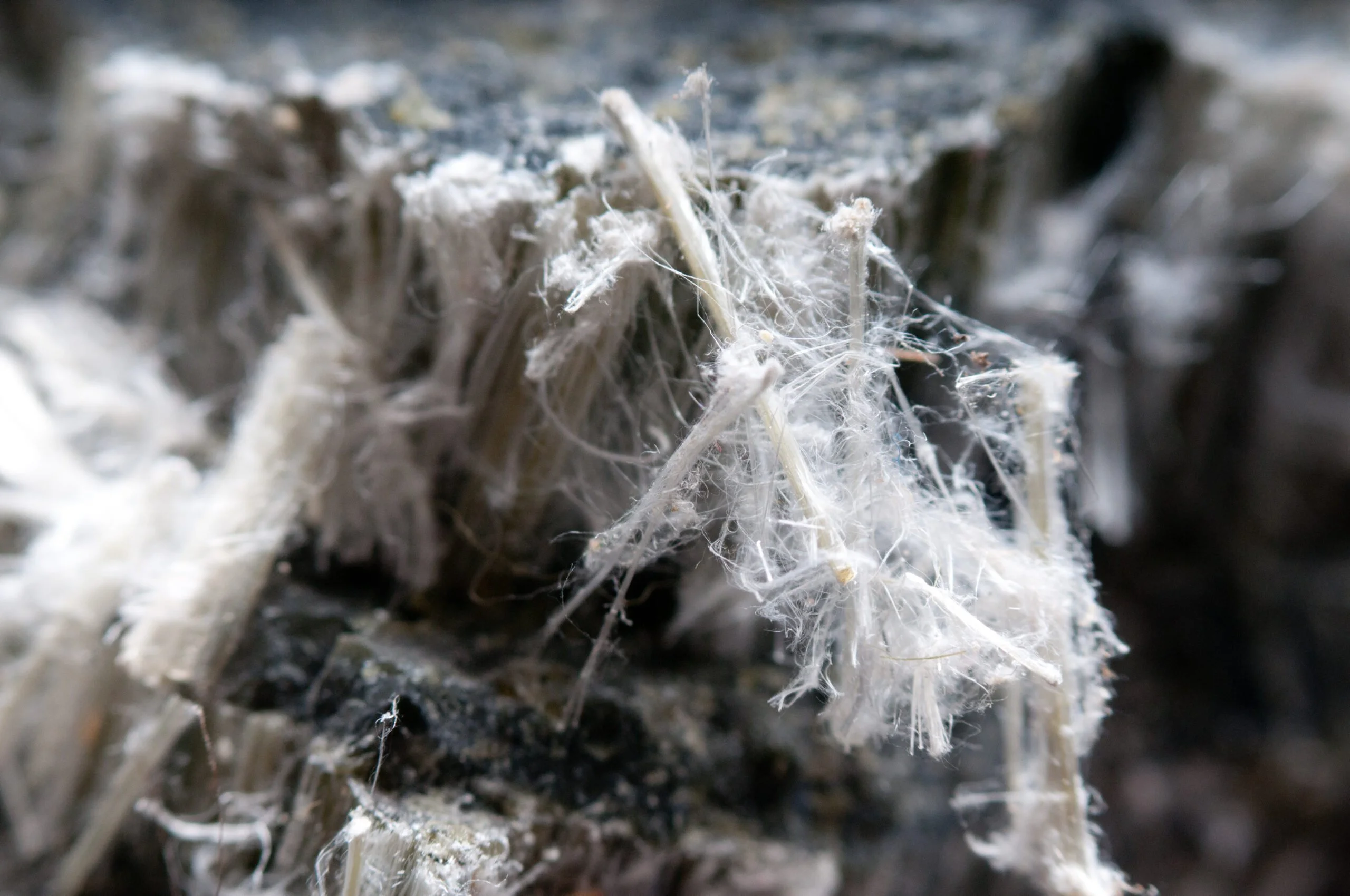 a close up of a piece of asbestos on a rock