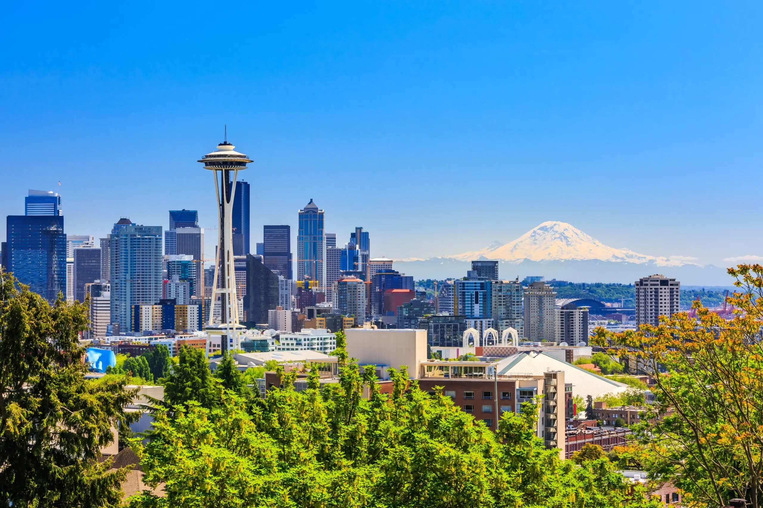 a city skyline with the space needle in the foreground