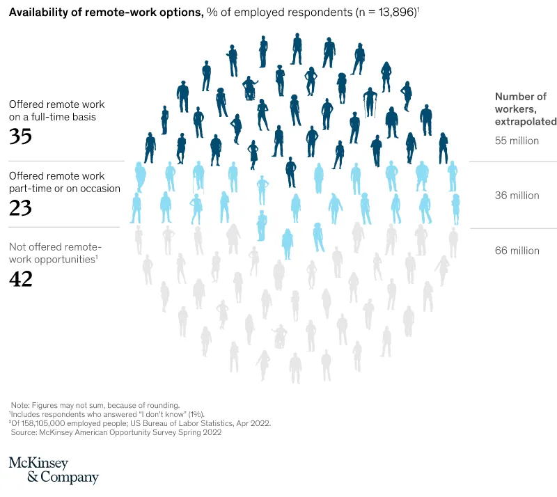 McKinsey & Company availability of remote-work options